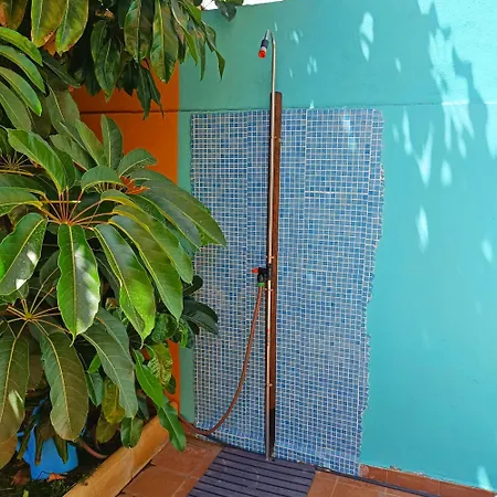 Tropical Oasis Retreat In Arona (Tenerife)